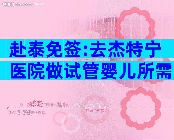 赴泰免签:去杰特宁医院做试管婴儿所需证照 一览